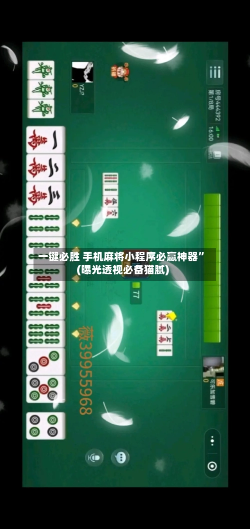 一键必胜 手机麻将小程序必赢神器	”(曝光透视必备猫腻)-第2张图片