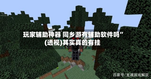 玩家辅助神器 同乡游有辅助软件吗”(透视)其实真的有挂-第2张图片