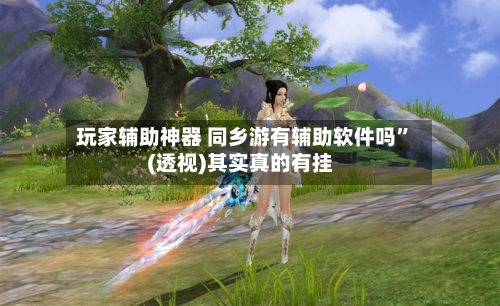 玩家辅助神器 同乡游有辅助软件吗”(透视)其实真的有挂