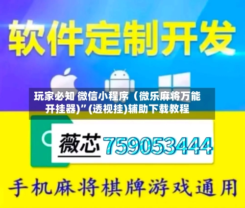 玩家必知 微信小程序（微乐麻将万能开挂器)”(透视挂)辅助下载教程-第2张图片