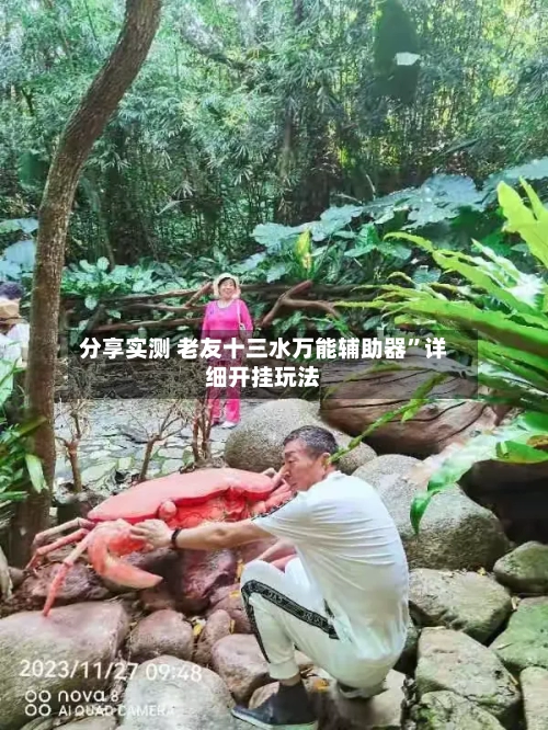 分享实测 老友十三水万能辅助器	”详细开挂玩法-第3张图片