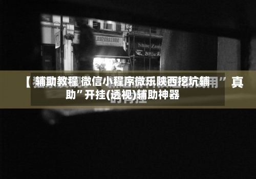 辅助教程 微信小程序微乐陕西挖坑辅助	”开挂(透视)辅助神器-第2张图片