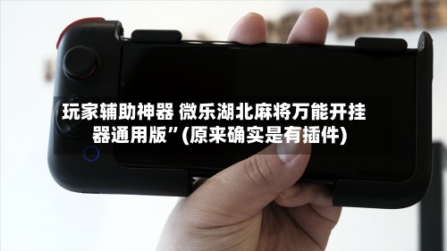 玩家辅助神器 微乐湖北麻将万能开挂器通用版”(原来确实是有插件)-第3张图片