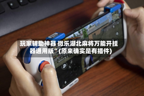 玩家辅助神器 微乐湖北麻将万能开挂器通用版	”(原来确实是有插件)-第2张图片