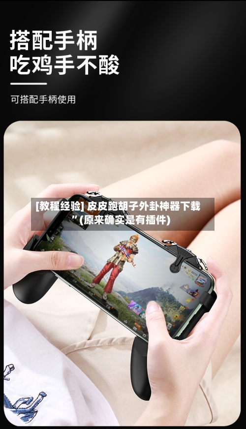 [教程经验] 皮皮跑胡子外卦神器下载”(原来确实是有插件)-第2张图片