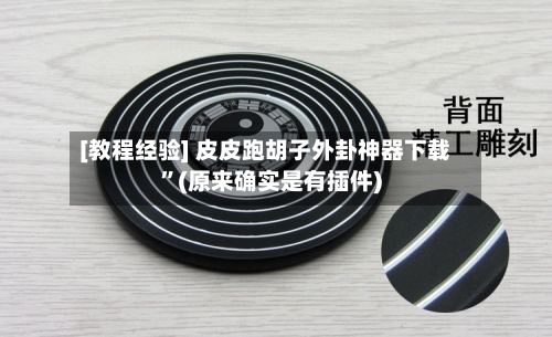 [教程经验] 皮皮跑胡子外卦神器下载”(原来确实是有插件)