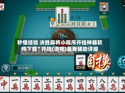 秒懂经验 决胜麻将小程序开挂神器软件下载”开挂(透视)最新辅助详细-第2张图片