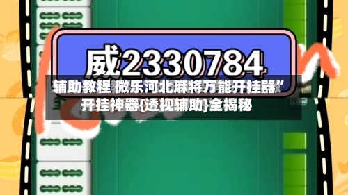 辅助教程 微乐河北麻将万能开挂器	”开挂神器{透视辅助}全揭秘-第2张图片