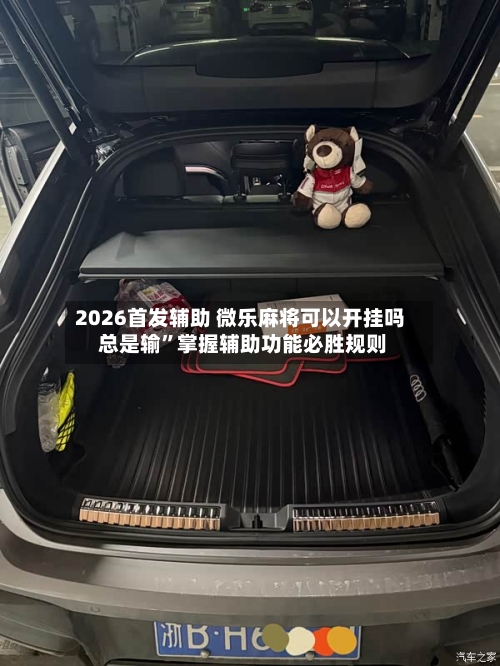 2026首发辅助 微乐麻将可以开挂吗 总是输”掌握辅助功能必胜规则