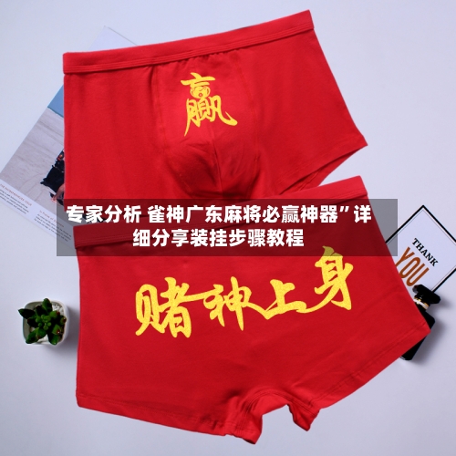 专家分析 雀神广东麻将必赢神器”详细分享装挂步骤教程-第3张图片