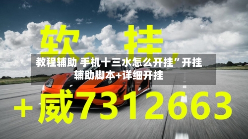 教程辅助 手机十三水怎么开挂”开挂辅助脚本+详细开挂-第3张图片