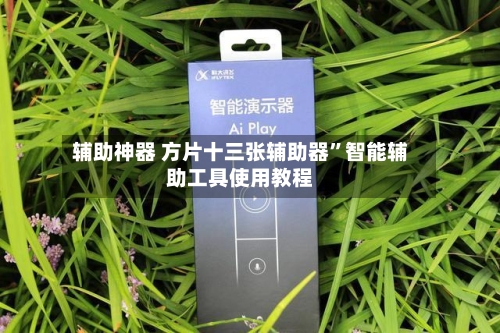 辅助神器 方片十三张辅助器”智能辅助工具使用教程-第2张图片
