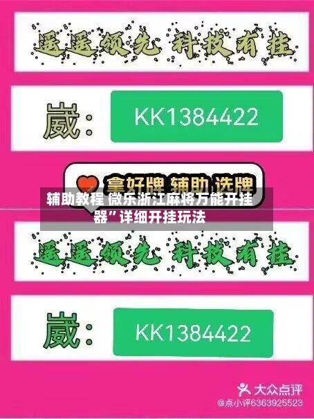 辅助教程 微乐浙江麻将万能开挂器”详细开挂玩法-第3张图片