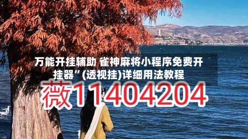 万能开挂辅助 雀神麻将小程序免费开挂器”(透视挂)详细用法教程-第3张图片