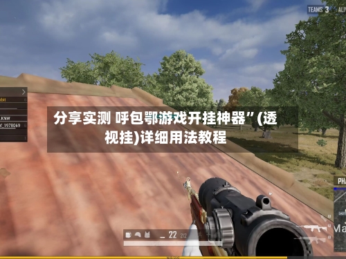 分享实测 呼包鄂游戏开挂神器”(透视挂)详细用法教程-第2张图片