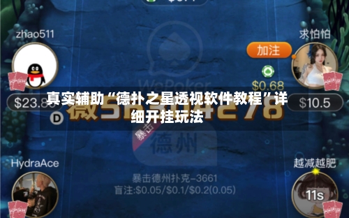 真实辅助“德扑之星透视软件教程”详细开挂玩法-第3张图片