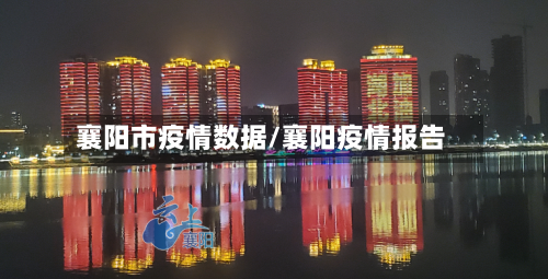 襄阳市疫情数据/襄阳疫情报告-第3张图片