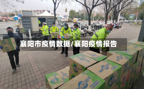 襄阳市疫情数据/襄阳疫情报告