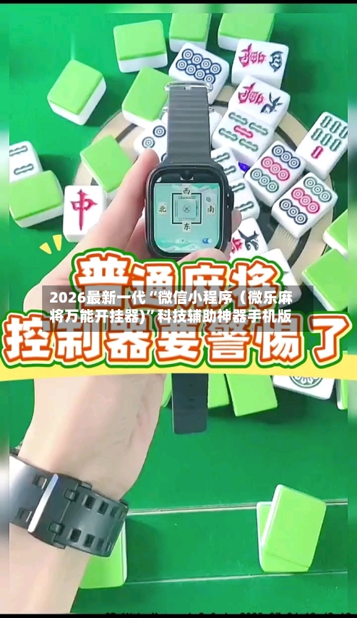 2026最新一代“微信小程序（微乐麻将万能开挂器)	”科技辅助神器手机版-第2张图片