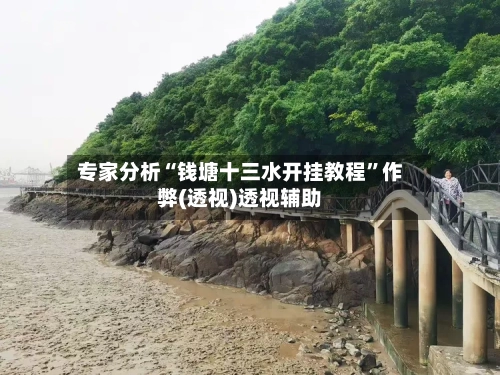 专家分析“钱塘十三水开挂教程”作弊(透视)透视辅助-第2张图片