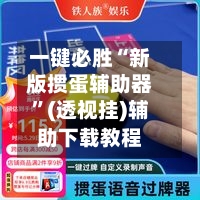 一键必胜“新版掼蛋辅助器”(透视挂)辅助下载教程-第2张图片