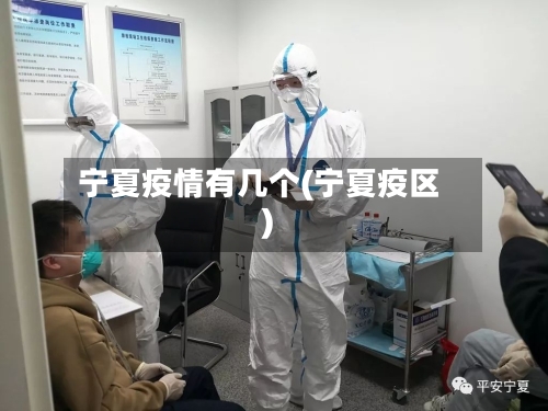 宁夏疫情有几个(宁夏疫区)-第2张图片