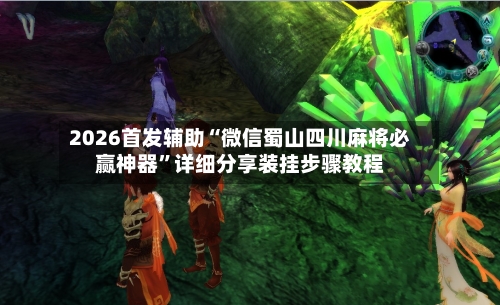 2026首发辅助“微信蜀山四川麻将必赢神器	”详细分享装挂步骤教程-第3张图片