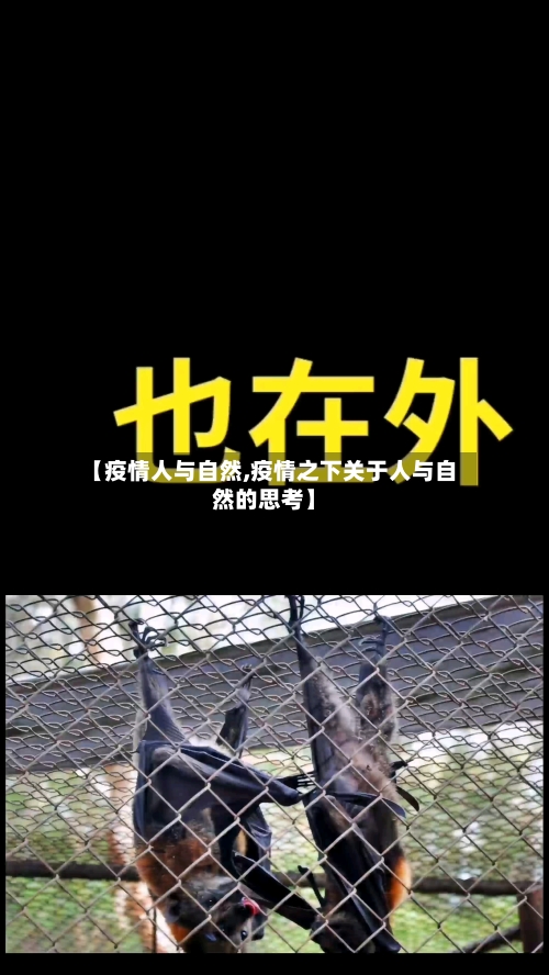 【疫情人与自然,疫情之下关于人与自然的思考】-第2张图片