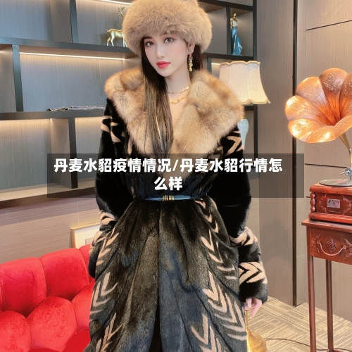 丹麦水貂疫情情况/丹麦水貂行情怎么样-第2张图片