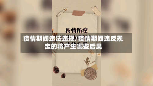 疫情期间违法违规/疫情期间违反规定的将产生哪些后果-第2张图片