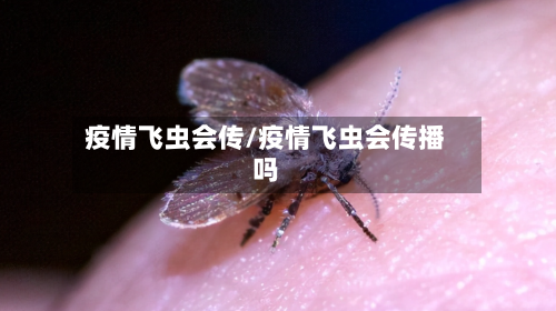 疫情飞虫会传/疫情飞虫会传播吗-第2张图片
