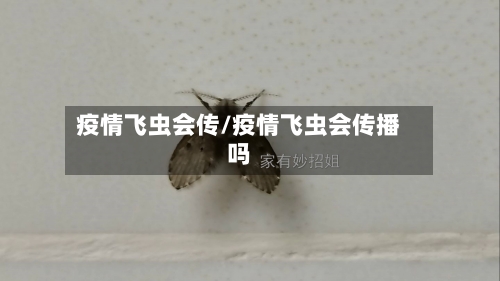 疫情飞虫会传/疫情飞虫会传播吗