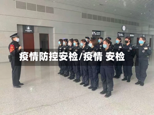 疫情防控安检/疫情 安检-第2张图片