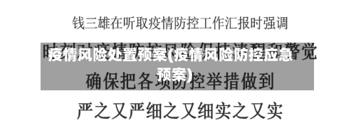 疫情风险处置预案(疫情风险防控应急预案)-第3张图片