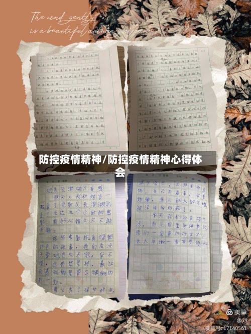 防控疫情精神/防控疫情精神心得体会-第3张图片