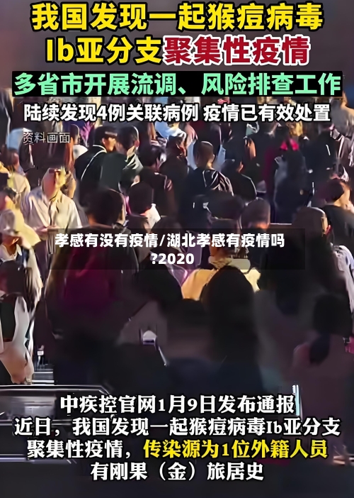 孝感有没有疫情/湖北孝感有疫情吗?2020-第2张图片
