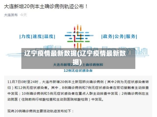 辽宁疫情最新数据(辽宁疫情最新数据)-第3张图片