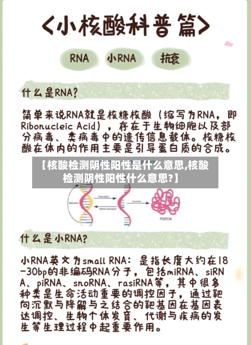 【核酸检测阴性阳性是什么意思,核酸检测阴性阳性什么意思?】