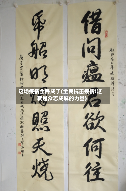 这场疫情全民成了(全民抗击疫情!这就是众志成城的力量)-第2张图片