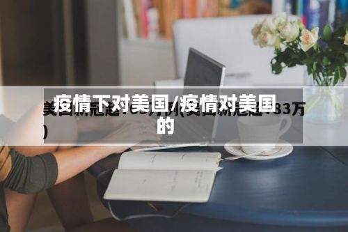 疫情下对美国/疫情对美国的