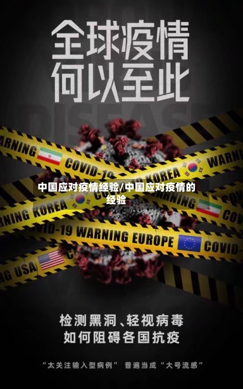 中国应对疫情经验/中国应对疫情的经验