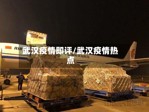 武汉疫情即评/武汉疫情热点-第2张图片