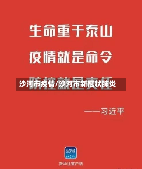 沙河市疫情/沙河市新冠状肺炎-第2张图片
