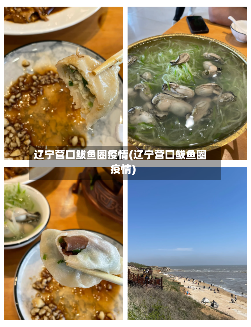 辽宁营口鲅鱼圈疫情(辽宁营囗鲅鱼圈疫情)-第3张图片