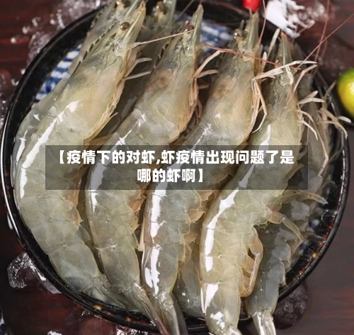 【疫情下的对虾,虾疫情出现问题了是哪的虾啊】