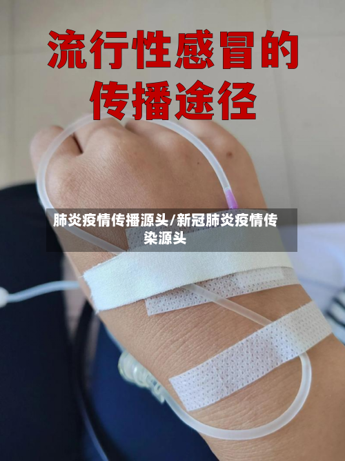 肺炎疫情传播源头/新冠肺炎疫情传染源头