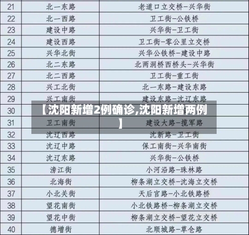【沈阳新增2例确诊,沈阳新增两例】