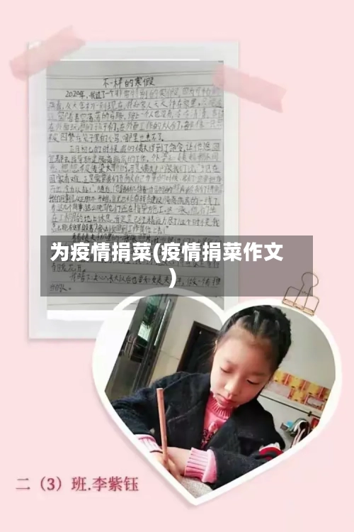 为疫情捐菜(疫情捐菜作文)-第2张图片