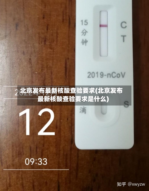 北京发布最新核酸查验要求(北京发布最新核酸查验要求是什么)