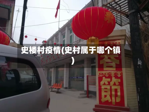 史楼村疫情(史村属于哪个镇)